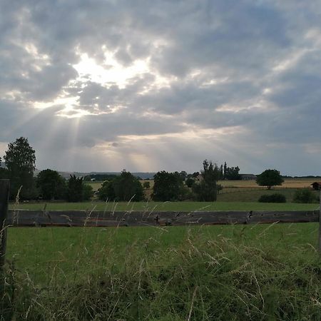 Ferienwohnung Am Reinhardswald - Eichenlaub - Mit Sauna トレンデルブルク エクステリア 写真